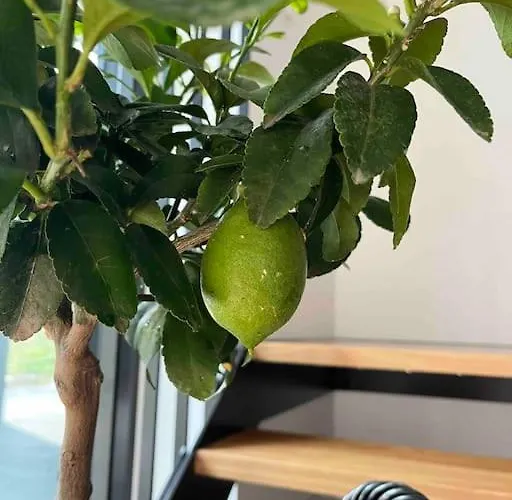 Διαμέρισμα Chic Duplex Near Sea And Old Town In Aria Ταλίν